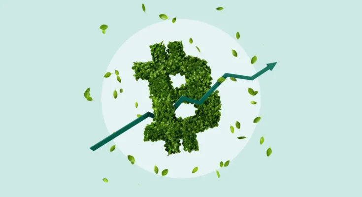 Crypto Retirement Account Setup