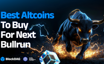 Top Altcoins to Buy Before the Next Bull Run